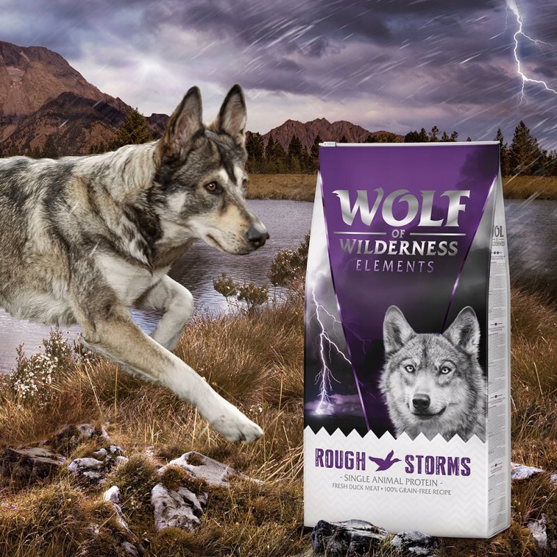 Wolf of Wilderness sucha karma dla psa KACZKA 12 kg monoproteinowa