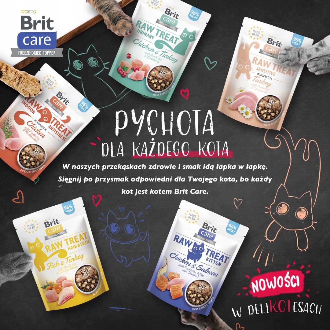 BRIT RAW TREAT CAT URINARY 40g