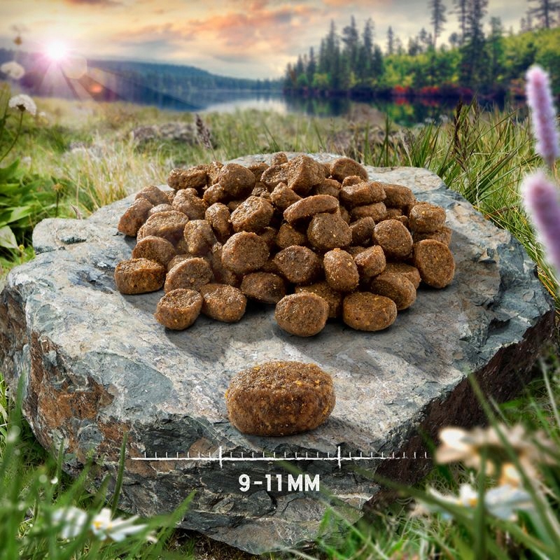 Purizon karma dla kota JAGNIĘCINA RYBY 400 g bez zbóż