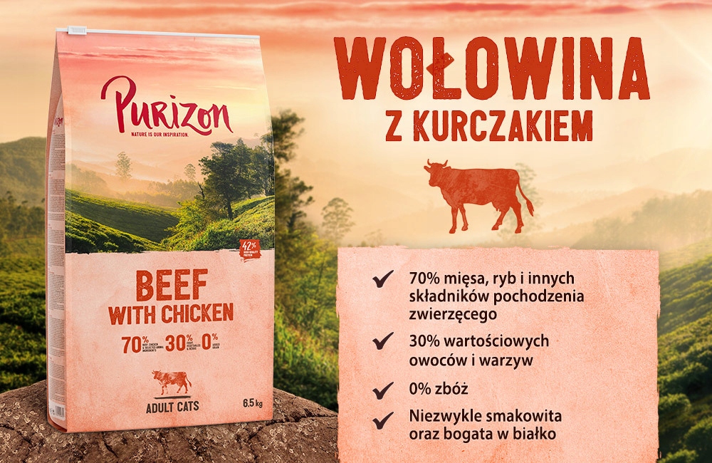 Purizon sucha karma kot WOŁOWINA KURCZAK 6,5 kg 0% ZBÓŻ