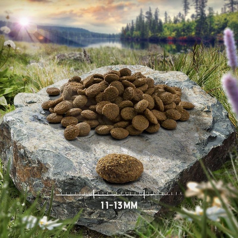 Purizon sucha karma dla szczeniąt kurczak ryby kaczka 12 kg bez zbóż