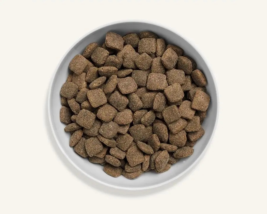 Canagan sucha pies jagnięcina 6 kg