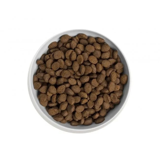 Canagan sucha pies dziczyzna 2kg