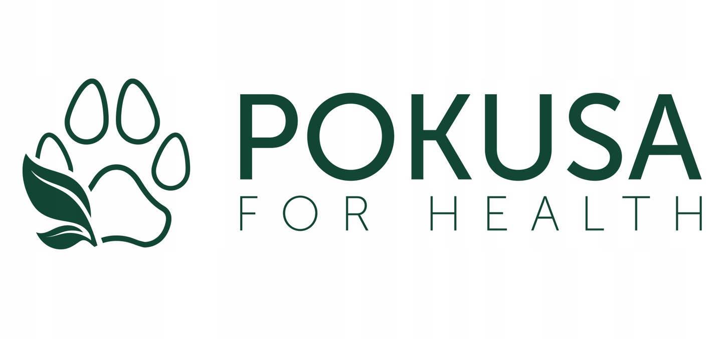 Pokusa olej z łososia 300ml