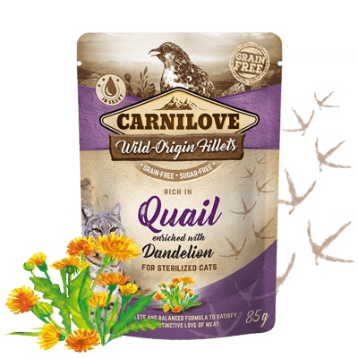 Carnilove mokra karma dla kota PRZEPIÓRKA MNISZEK LEKARSKI 85g