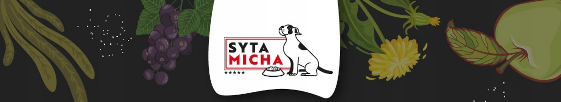 Syta Micha trójkąt Dorsz z jeleniem i spiruliną 2 szt