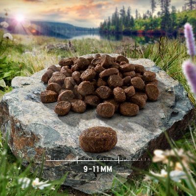 Purizon Adult sucha karma kot dziczyzna drób 2,5kg