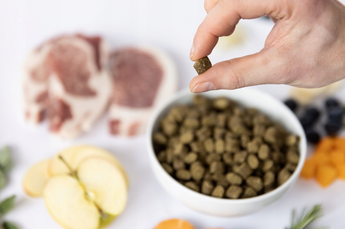 YDOLO karma dla psa IBERICO WIEPRZOWINA karma półwilgotna 10 kg