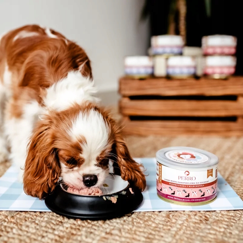 Perro mokra karma dla szczeniąt WIEPRZOWINA MARCHEW 850g