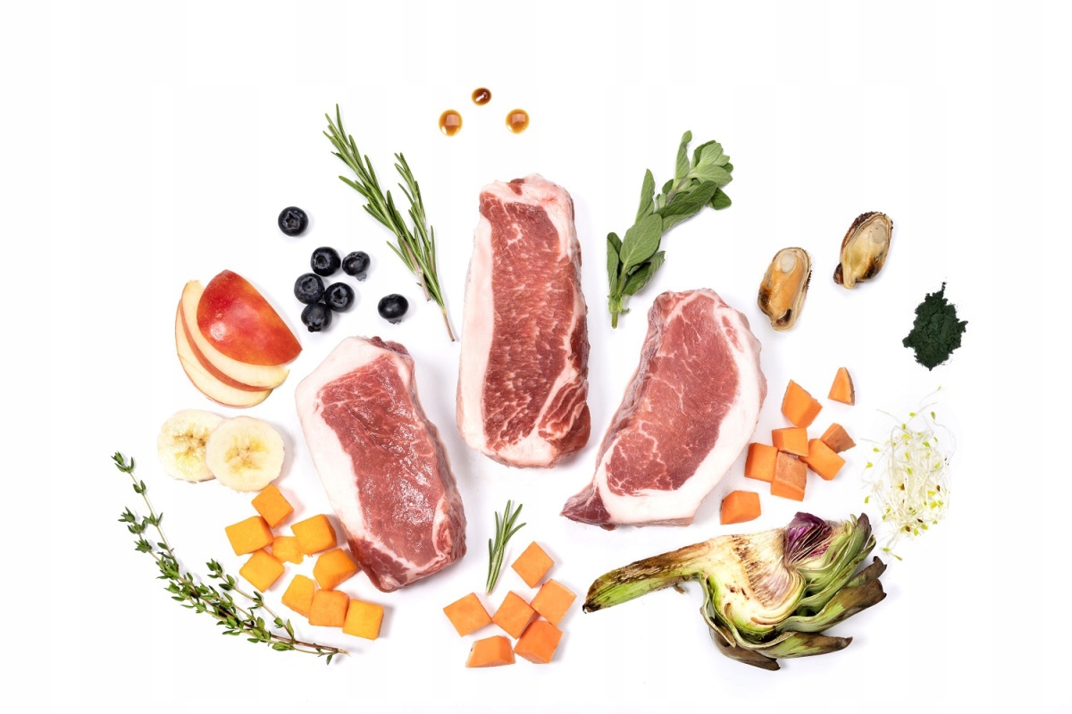 YDOLO karma dla psa IBERICO WIEPRZOWINA karma półwilgotna 10 kg